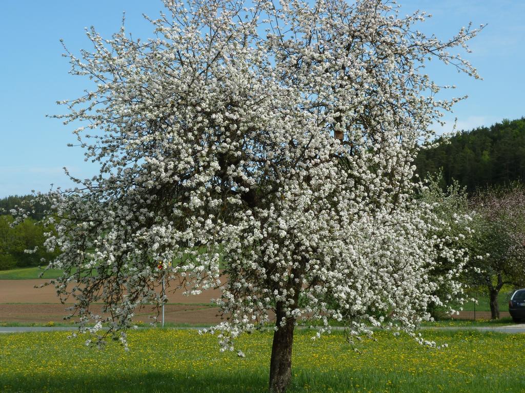 Bernerhof Lägenhet Pottenstein Exteriör bild